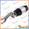 Amortisseur de suspension avant pour TESLA | A-CH-145, 58-50-0007